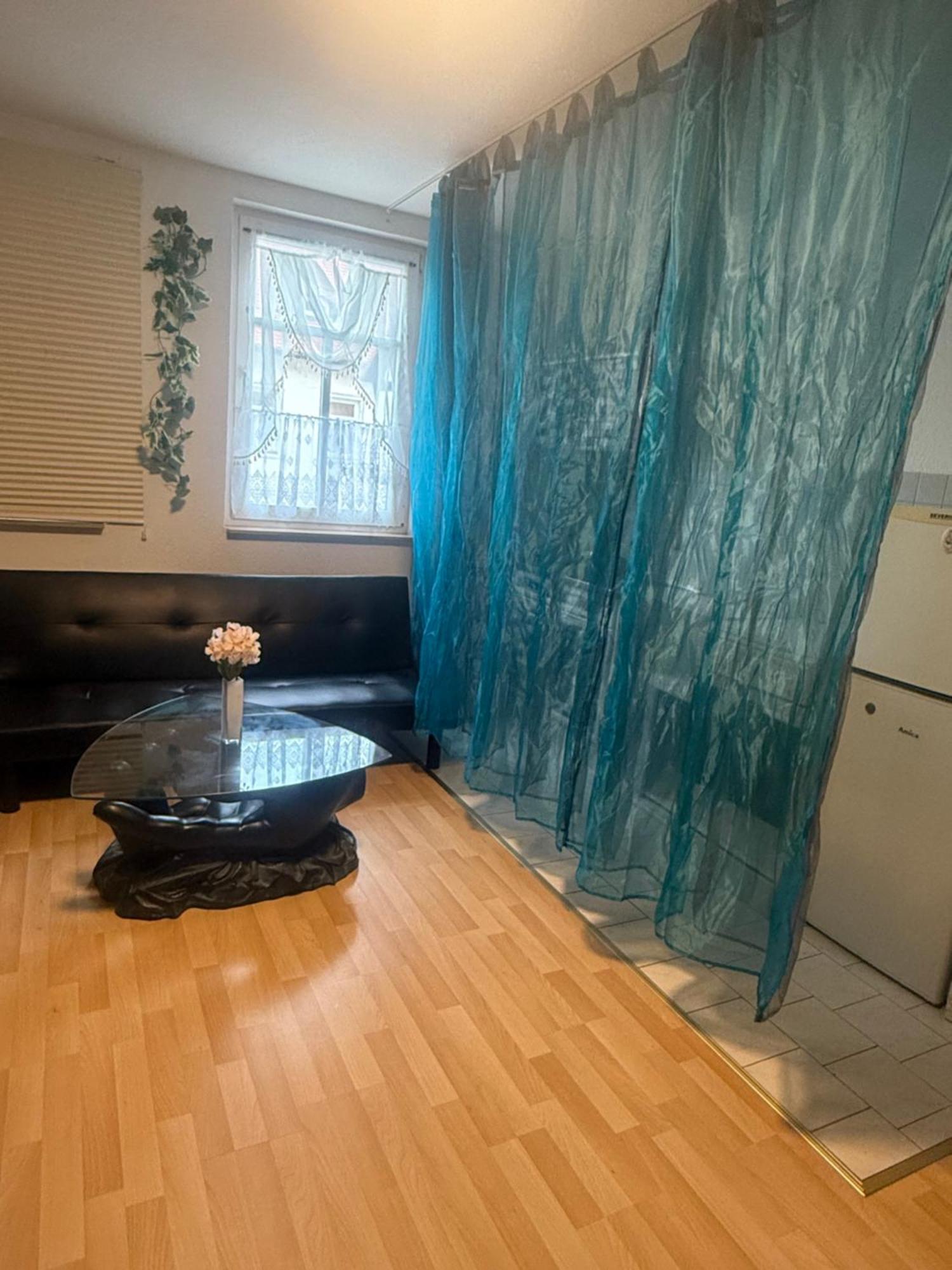 Ferienzimmer Healing Und Montuerwohnung Weißenfels Kültér fotó