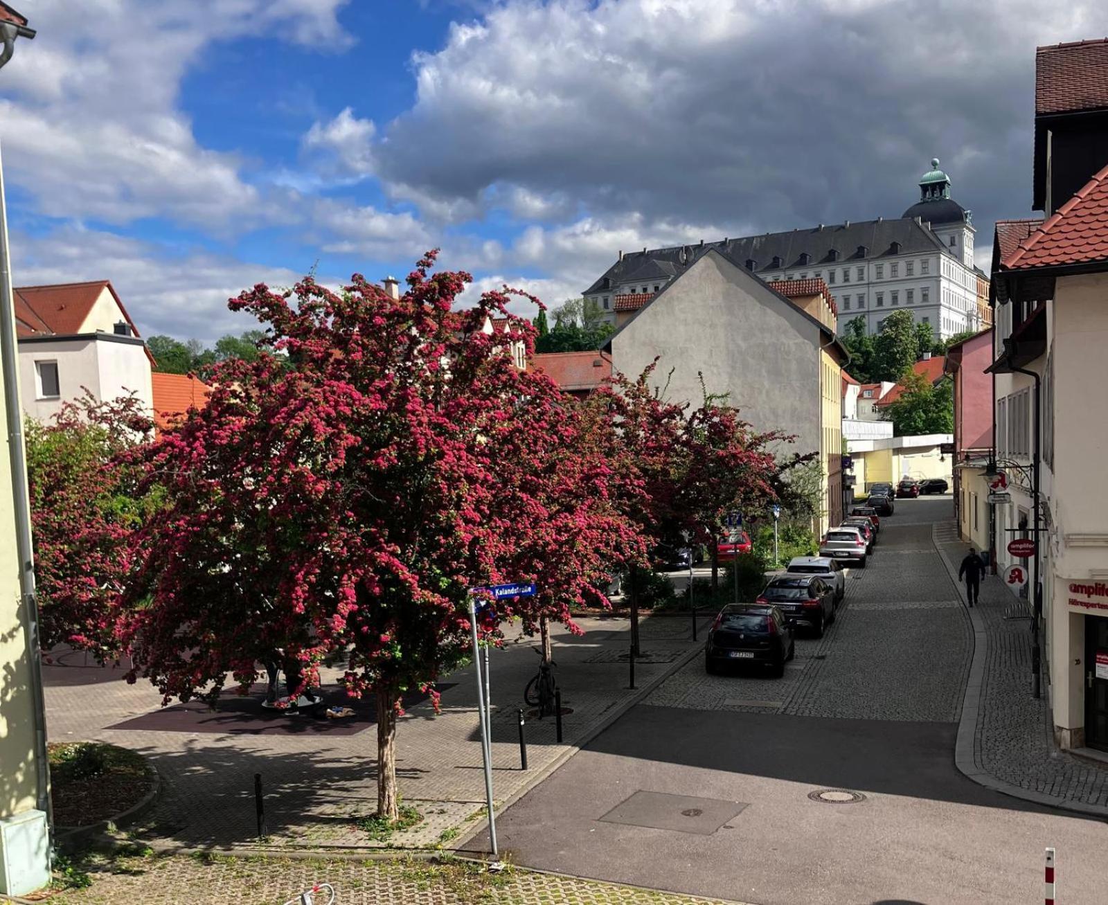 Ferienzimmer Healing Und Montuerwohnung Weißenfels Kültér fotó